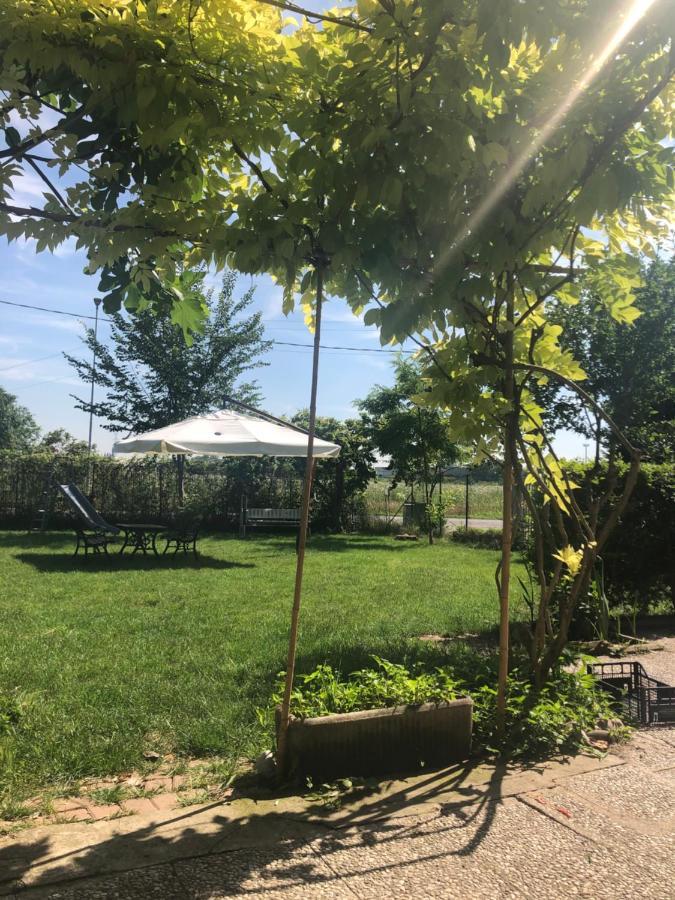 Al Divenire B&B Apartments San Giorgio di Mantova Buitenkant foto